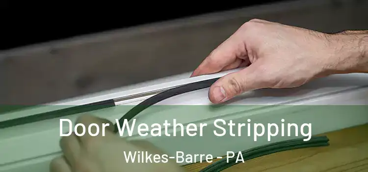 Door Weather Stripping Wilkes-Barre - PA