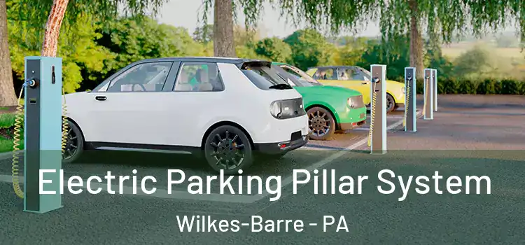 Electric Parking Pillar System Wilkes-Barre - PA