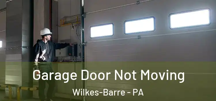  Garage Door Not Moving Wilkes-Barre - PA