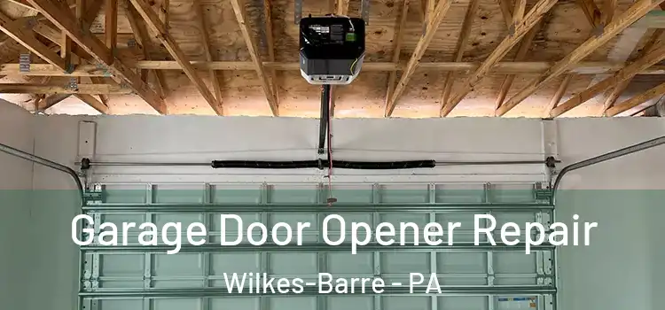  Garage Door Opener Repair Wilkes-Barre - PA