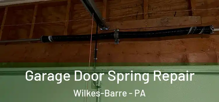  Garage Door Spring Repair Wilkes-Barre - PA