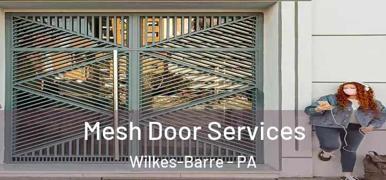Mesh Door Services Wilkes-Barre - PA